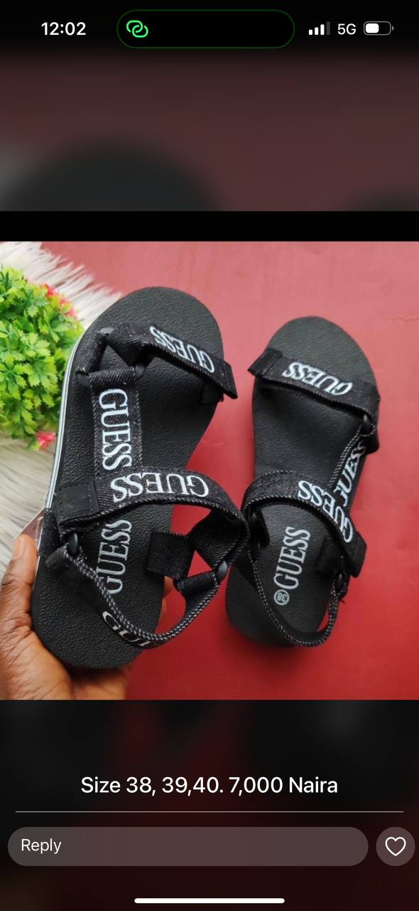 guess trekkers