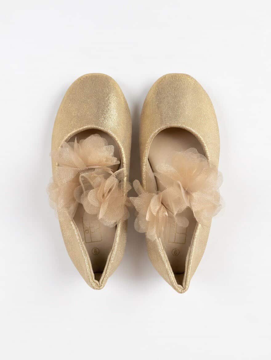 kois flat dress shoe(27)