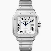 wristwatch
