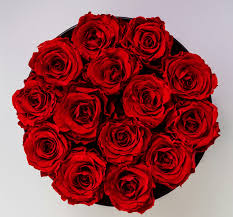 pods